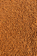 Micro Pellet 2mm Mango - Feeder Bait