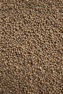 Pellet 2mm Seria Klubowa Carp Complex - Feeder Bait