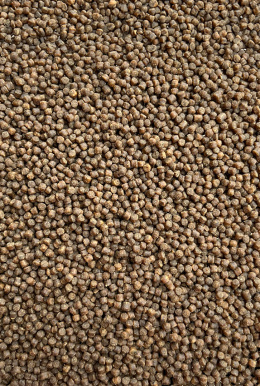 Pellet 2mm Seria Klubowa Carp Complex - Feeder Bait