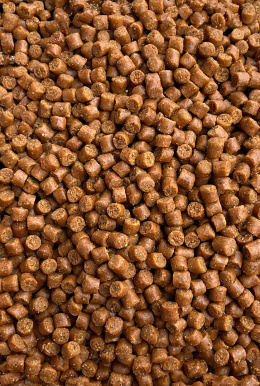 Pellet 4mm Epidemia - Feeder Bait