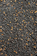 Pellet Prestige Dark Natural 2mm - Feeder Bait